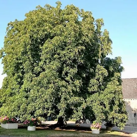 Hébergement de vacances Les Castelets By Melrose Barbeville