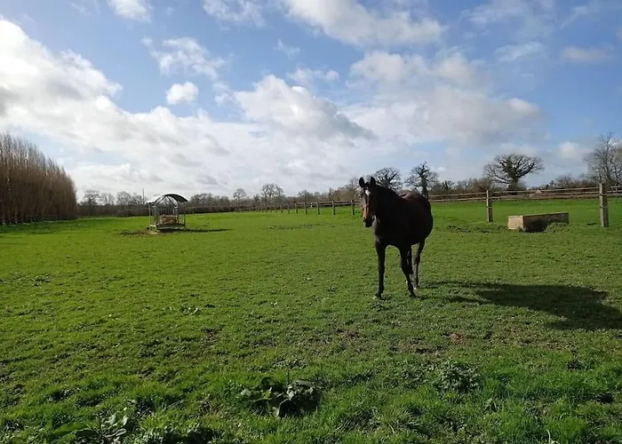 Дом отдыха Les Castelets By Melrose Barbeville