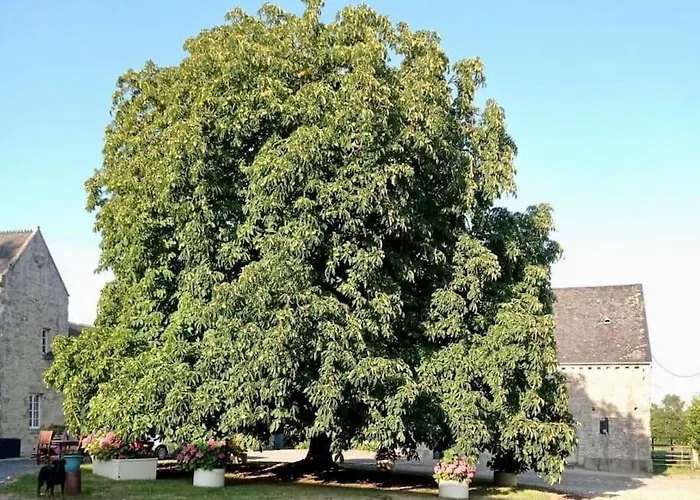 Дом отдыха Les Castelets By Melrose Barbeville